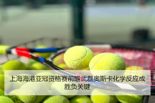 上海海港亚冠资格赛前瞻武磊奥斯卡化学反应成胜负关键