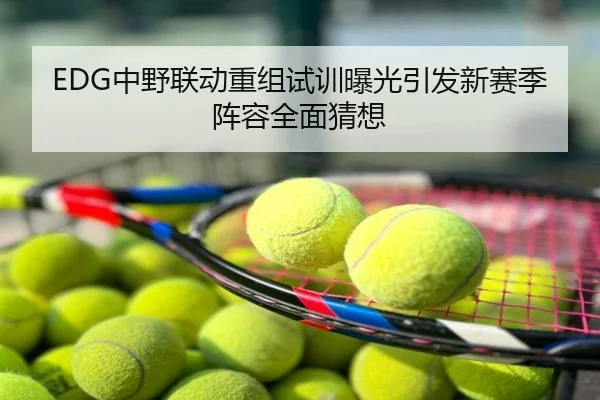 EDG中野联动重组试训曝光引发新赛季阵容全面猜想